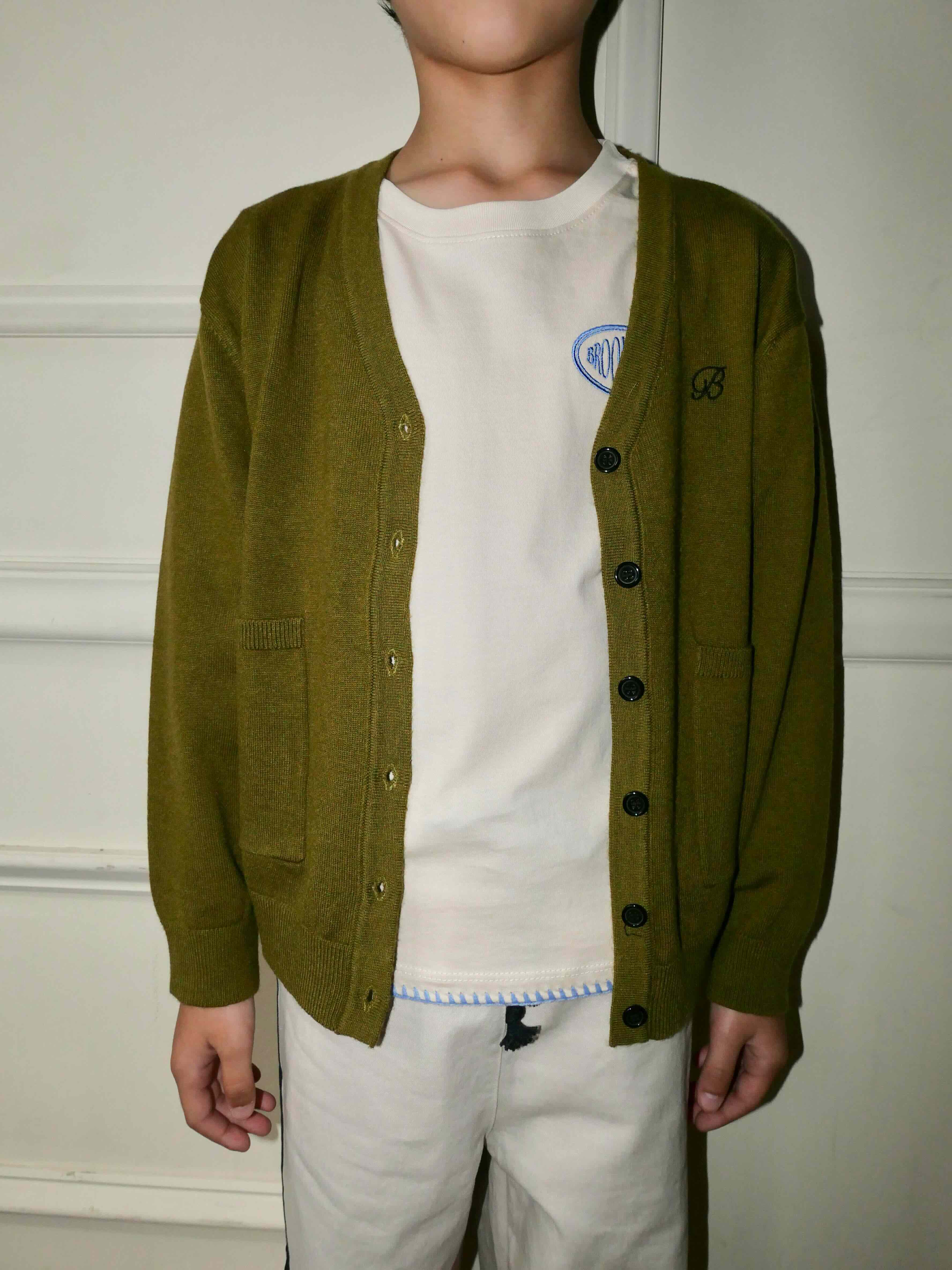 Wool Blend Cardigan - Olive